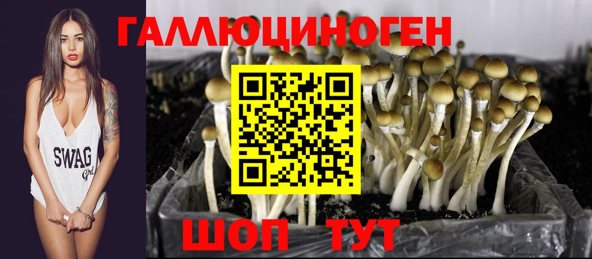 Псилоцибиновые грибы Magic Shrooms Новозыбков