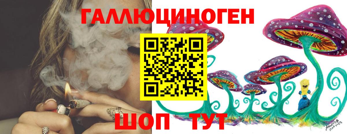 Галлюциногенные грибы ЛСД  Вход с VPN  Новозыбков 